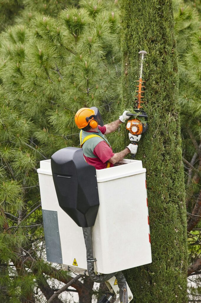 Equipped worker pruning a tree on a crane. Gardening